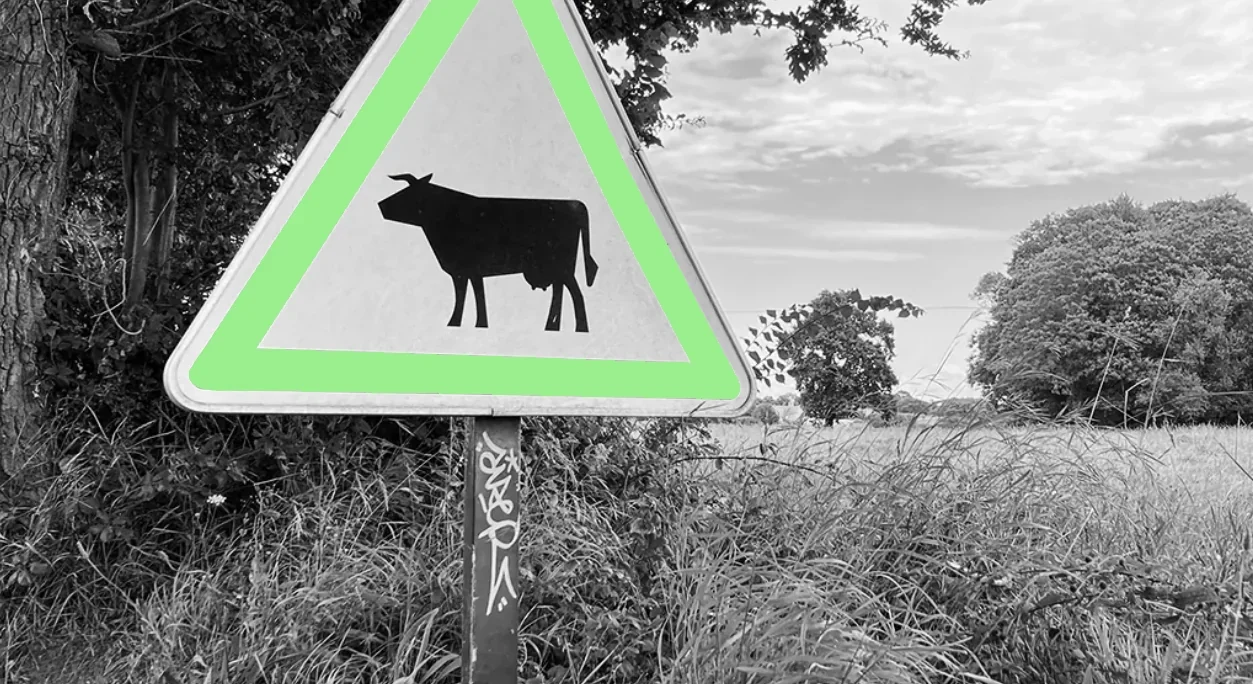 Cash Cow Farmers Werbeagentur Hamburg - Vorsicht Kuh-Agentur